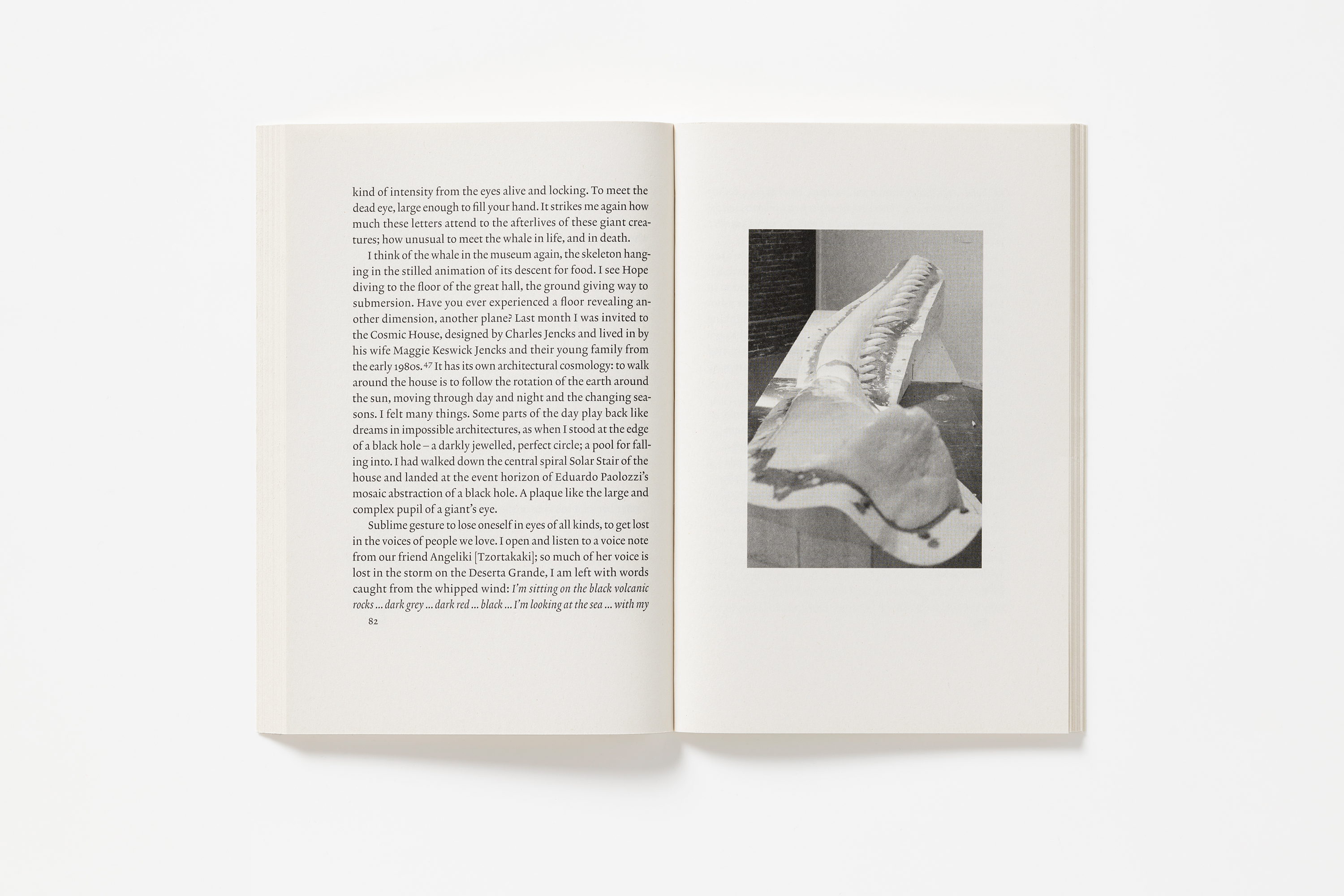 Open book with text on the left page and a whale bone on the right page