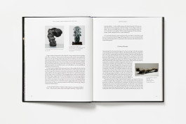 A spread from the Emily Young book showing text with abstract sculptures by Tony Cragg and Heinz Mack on the left, and text with a sculpture by Glynn Williams on the right.